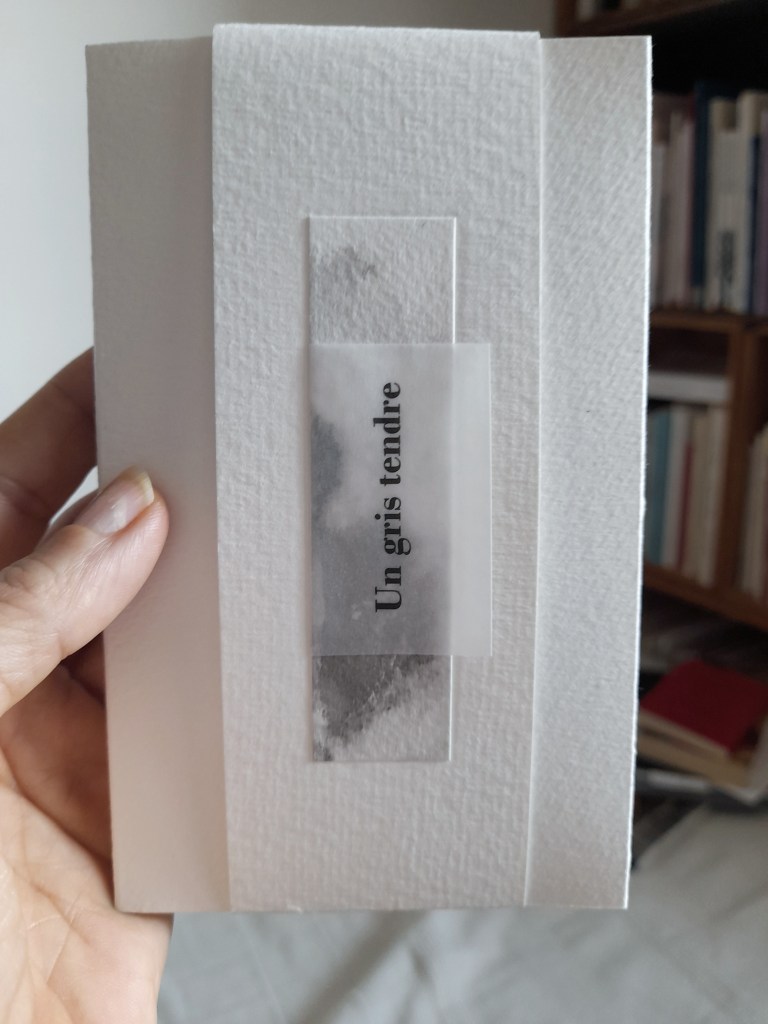 un gris tendre - livre d'artiste de Yamina Viguier